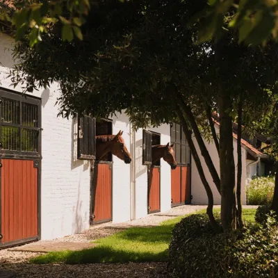 Ook de paarden komen tot rust op de prachtige, groene site van hotel De Baian 